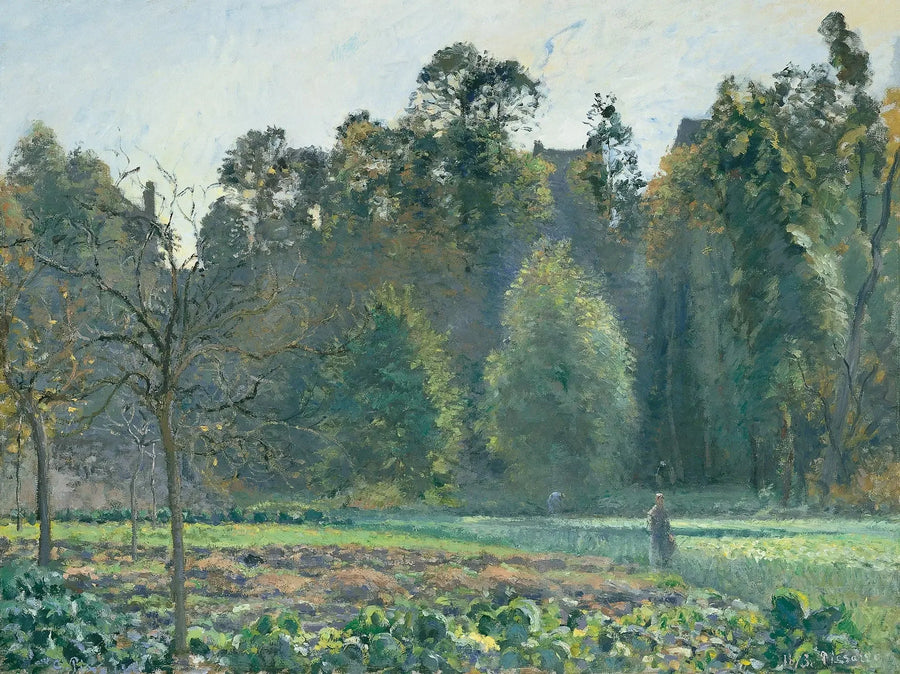 Kålfält, Pontoise - Camille Pissarro