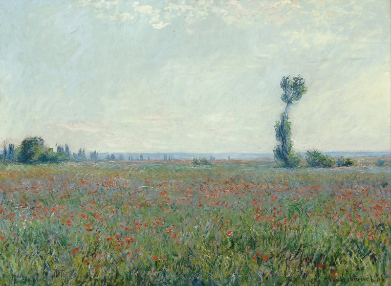 Fält av vallmo - Claude Monet