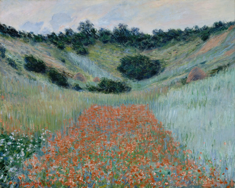 Fält med vallmo i en sänka nära Giverny - Claude Monet