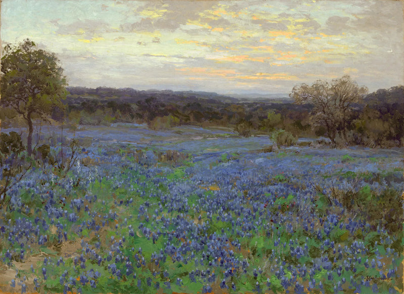 Blå lupinfält vid solnedgången - Julian Onderdonk