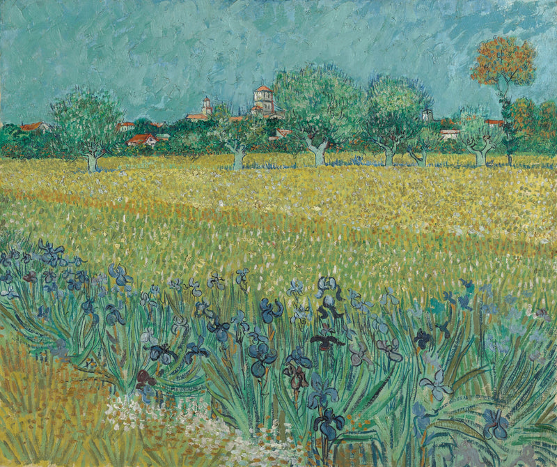 Vetefältet med iris - Vincent van Gogh