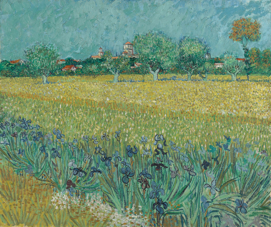 Vetefältet med iris - Vincent van Gogh