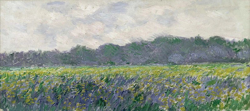 Gult irisfält i Giverny W1137 - Claude Monet