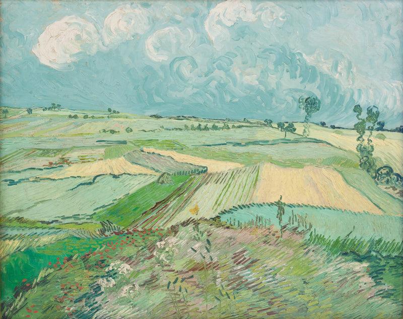 Vetefält efter regnet - Vincent van Gogh