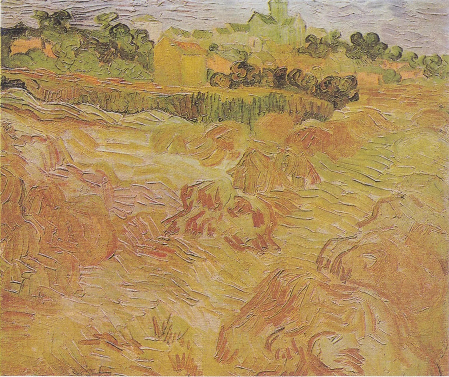 Vetefält med Auvers i bakgrunden - Vincent van Gogh