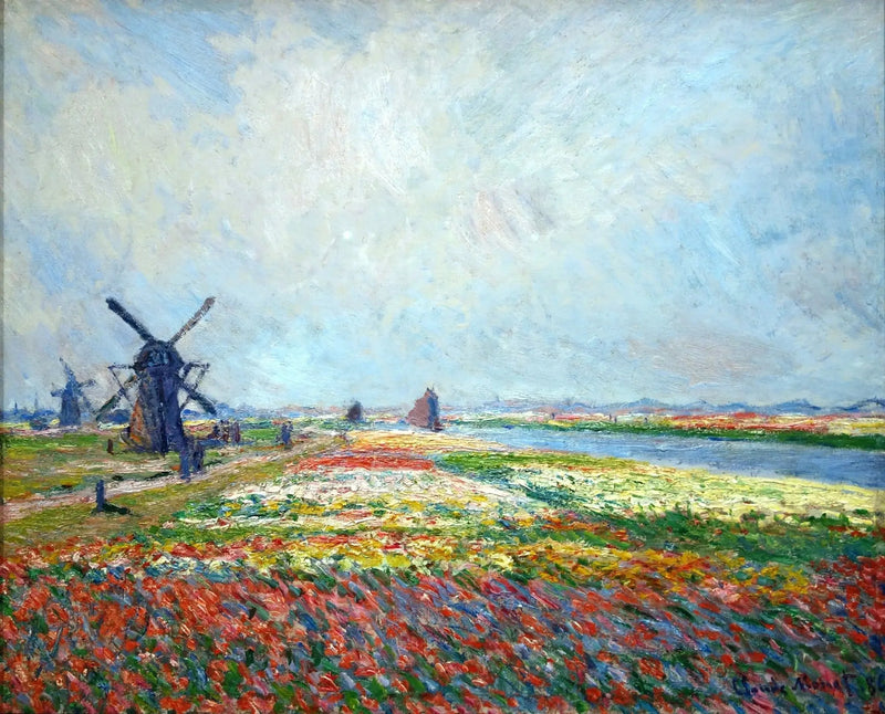 Tulpanfält nära Haag - Claude Monet