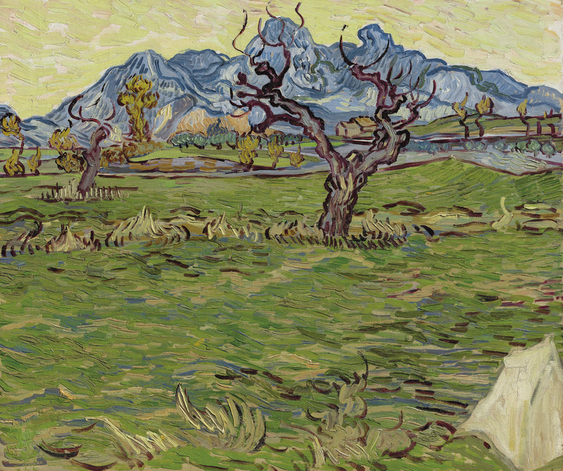 Fält nära Alpilles - Vincent van Gogh
