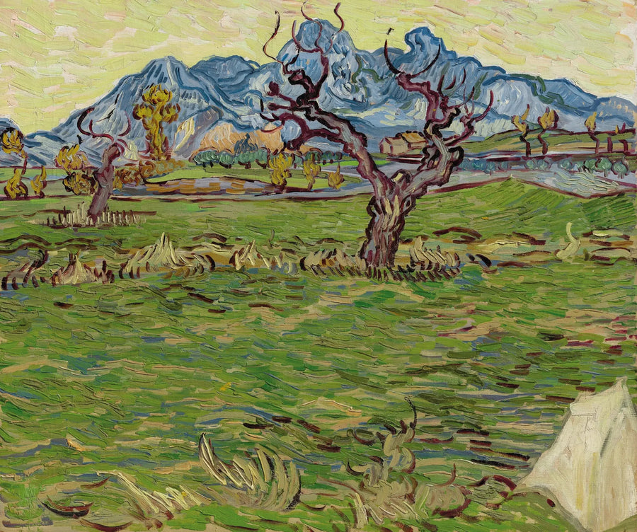Fält nära Alpilles - Vincent van Gogh
