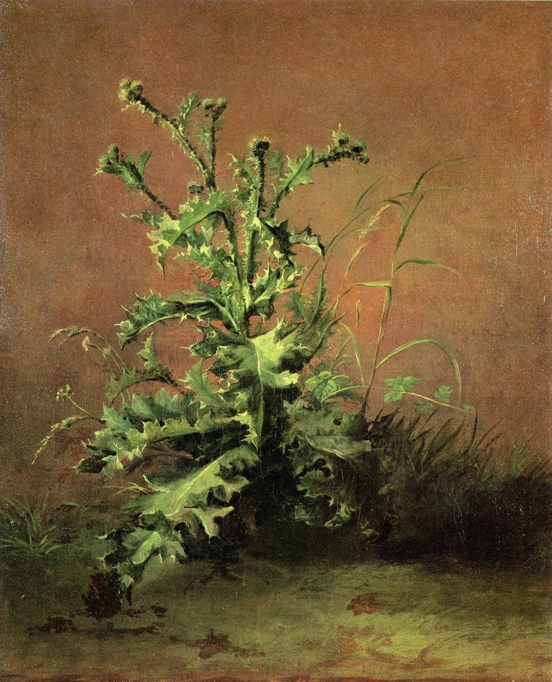 Tistlar - Édouard Manet