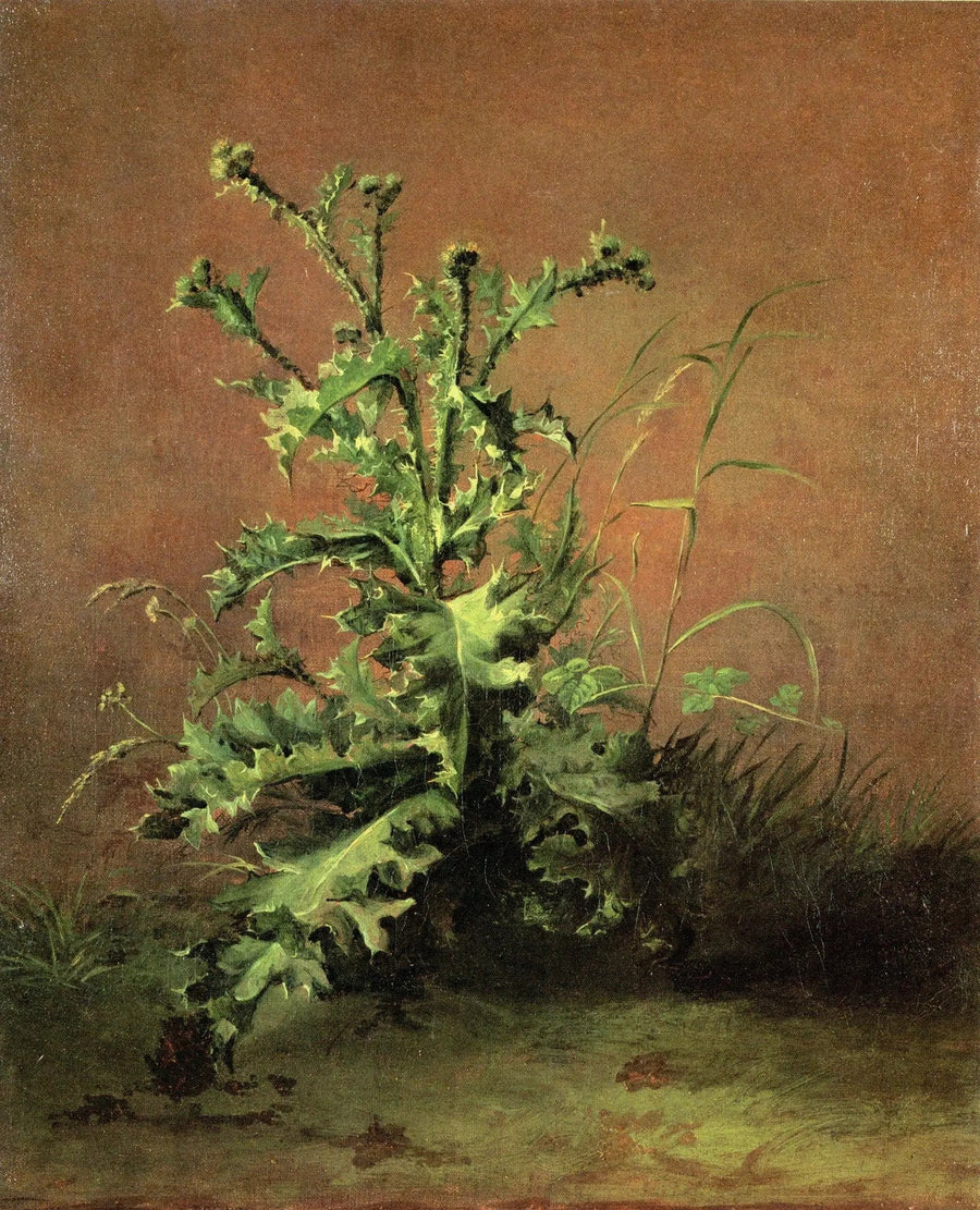 Tistlar - Édouard Manet