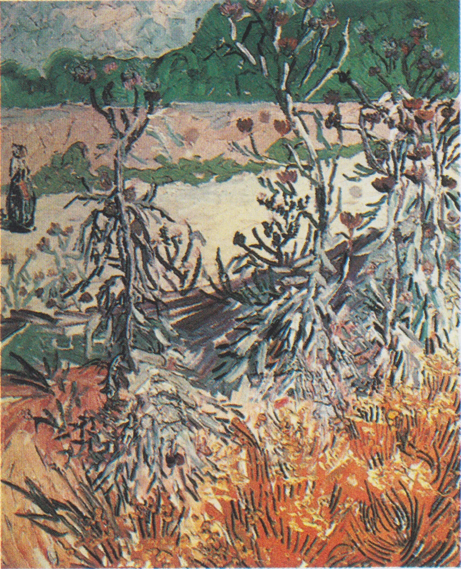 Tistlar - Vincent van Gogh