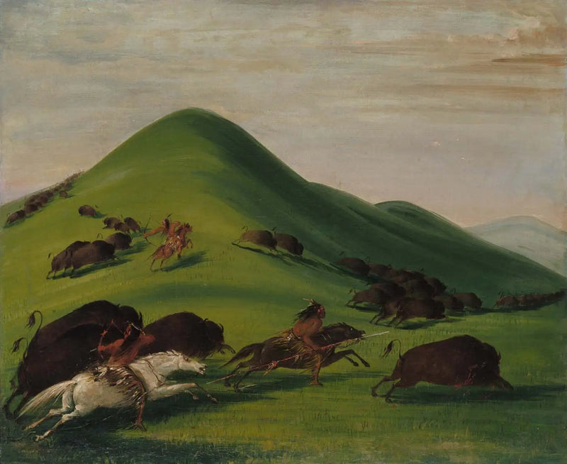 Bisonjakt på Prairie Bluffs - George Catlin
