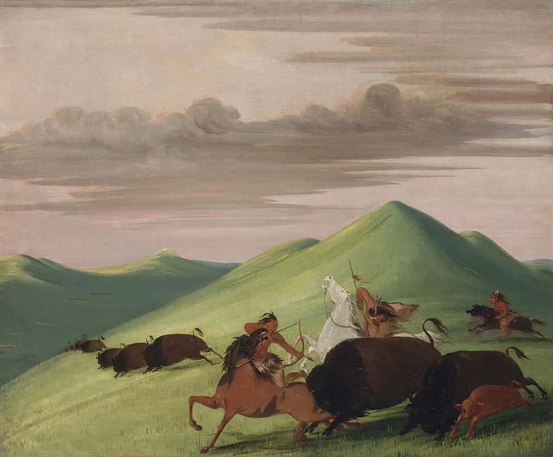 Bisonjakt, tjur som skyddar en ko och hennes kalv - George Catlin