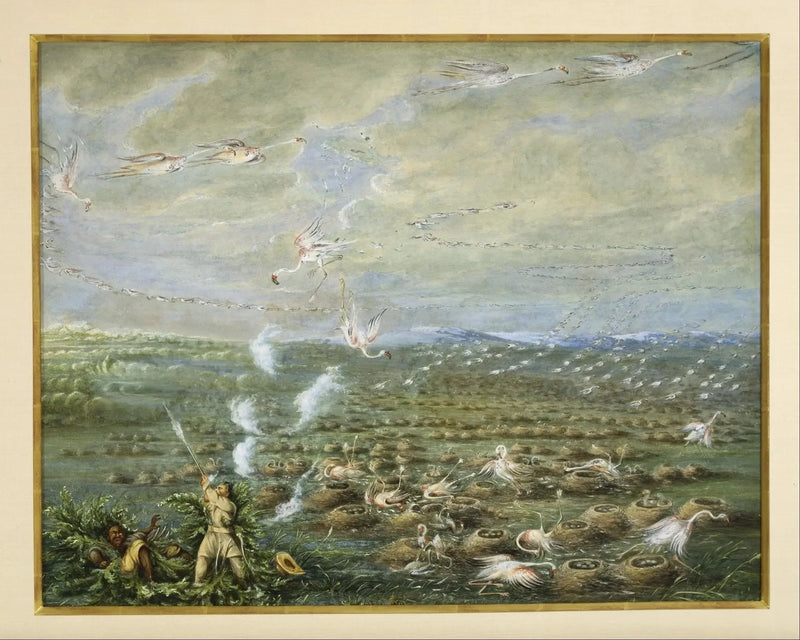 Jakten på flamingos i Sydamerika - George Catlin