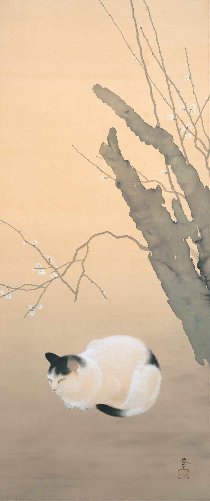 Chat et fleurs de prunier - Hishida Shunsō