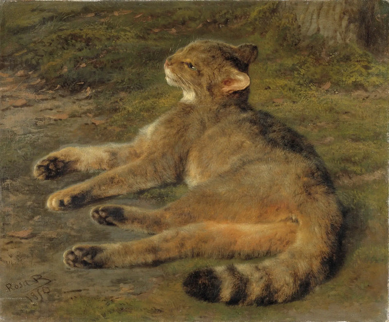 Vildkatt - Rosa Bonheur