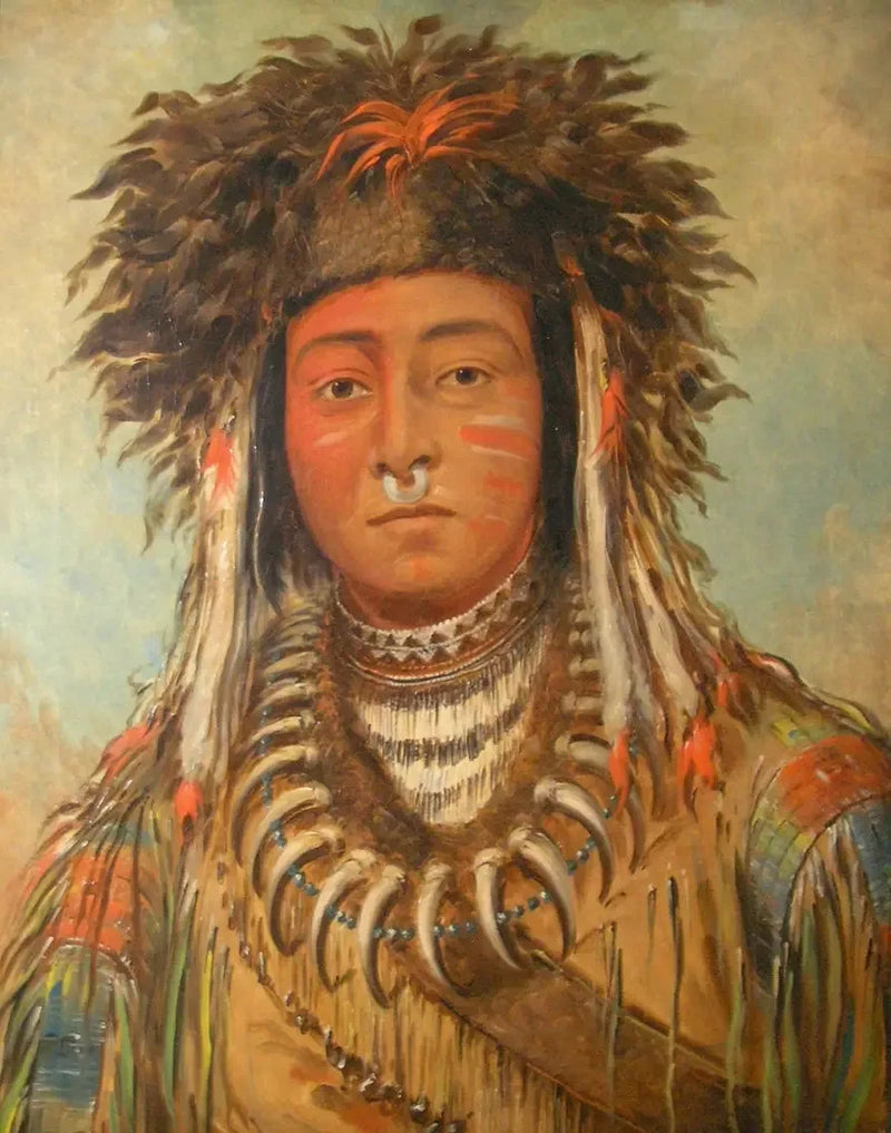 Chefs för pojkar - Ojibbeway - George Catlin