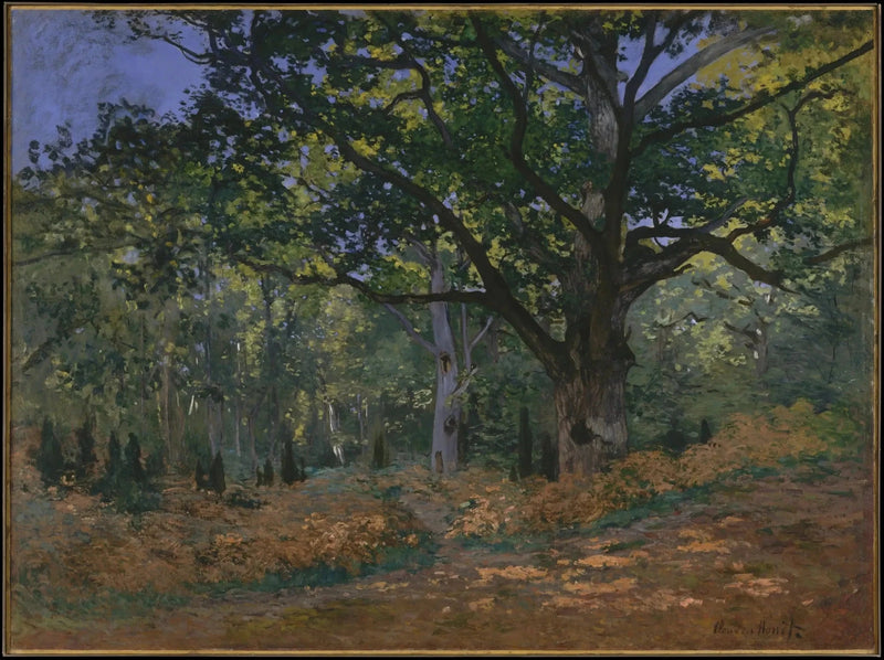 Bodmer Oak, Fontainebleau skog W60 - Claude Monet