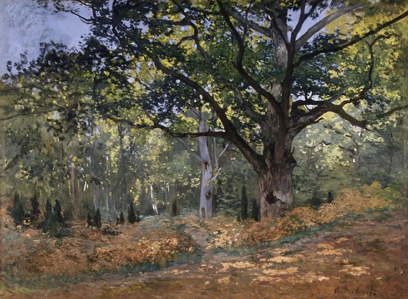 Bodmer Oak, Fontainebleau skog W60 - Claude Monet