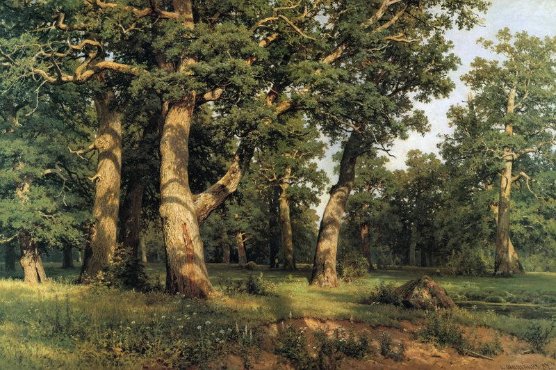 Ekskog - Ivan Chichkine