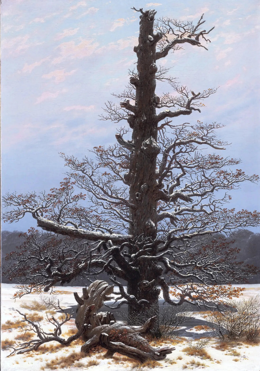 Ek under snön - Caspar David Friedrich