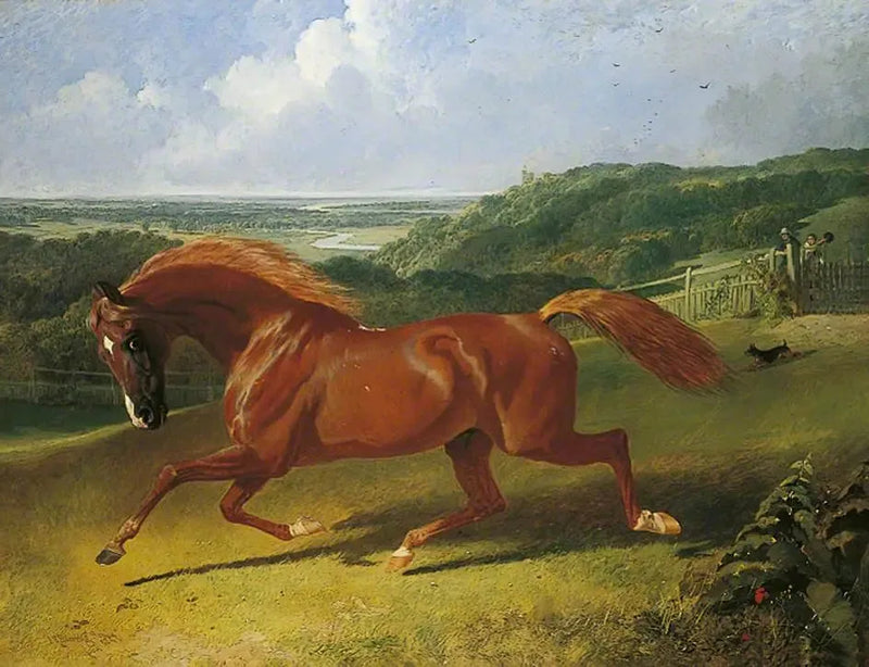 Galopperande häst i en äng - John Frederick Herring, Sr.