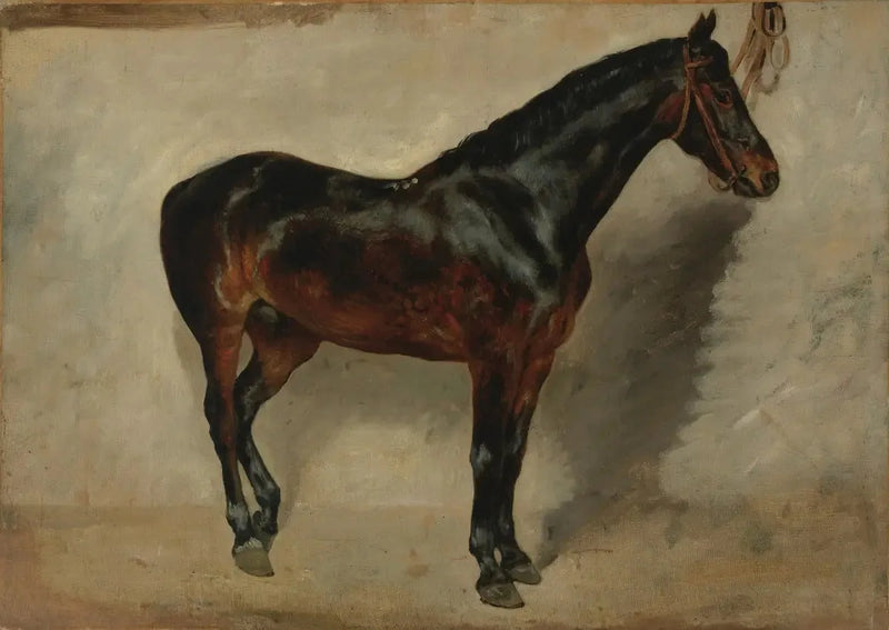 Brun häst vid betsel - Eugène Delacroix