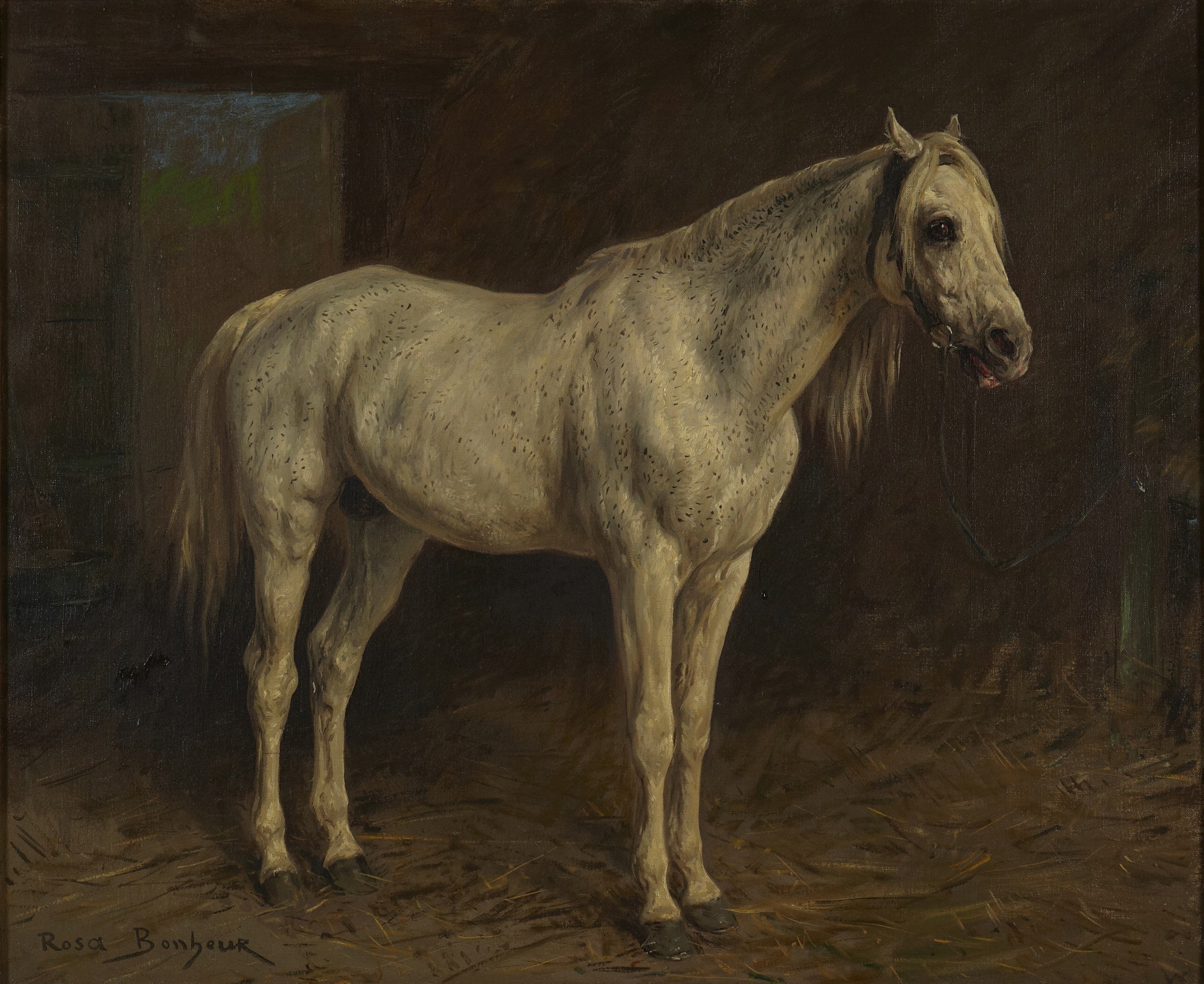 Cheval Blanc - Rosa Bonheur