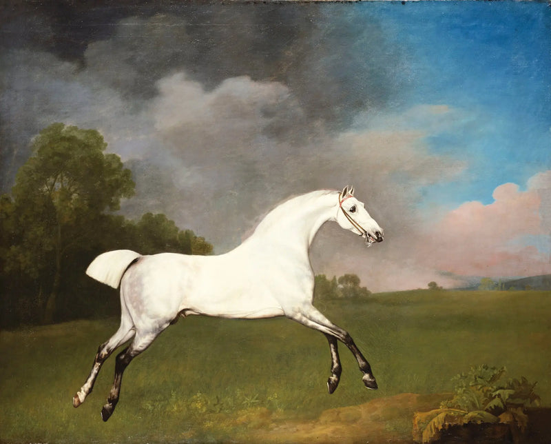 Grå häst som galopperar i ett fält - George Stubbs