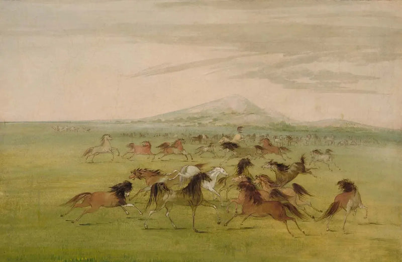 Vilda hästar i spel - George Catlin