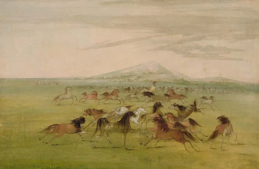 Vilda hästar i spel - George Catlin