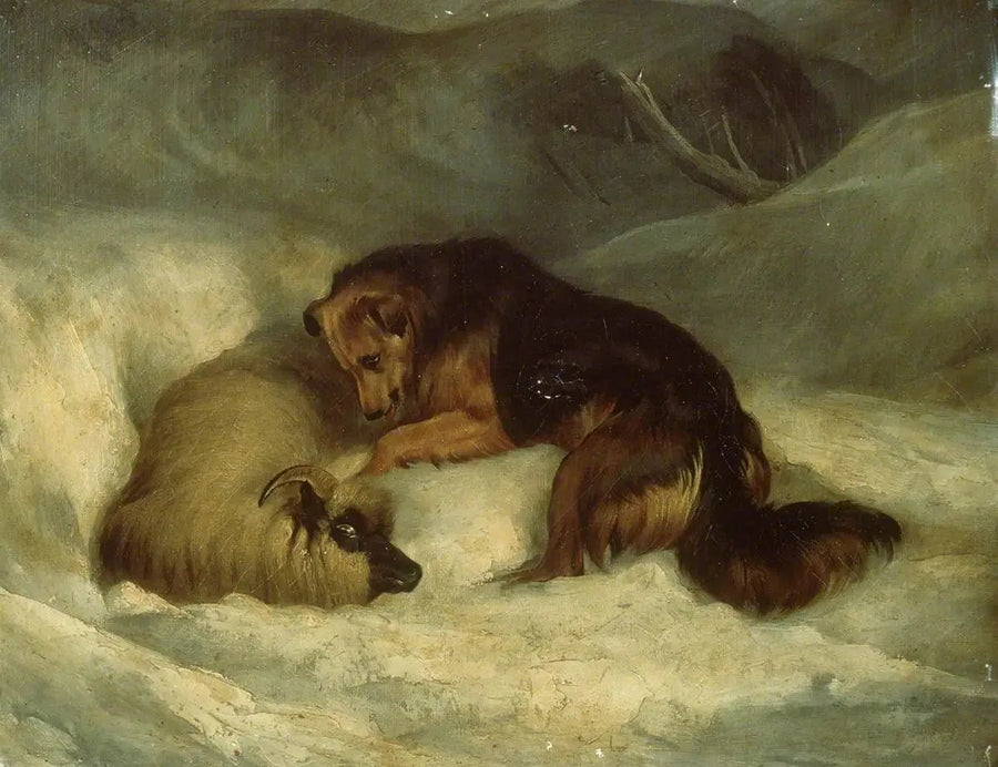 Highland herdehund i snön (tidigare känd som "Herdehund som räddar ett får från en snödriva") - Edwin Henry Landseer