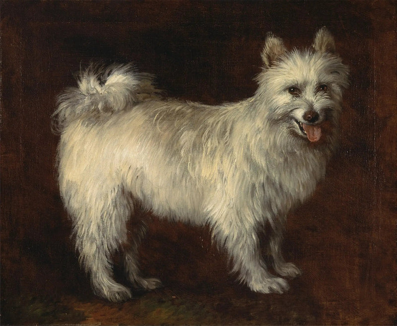 Spitzhund - Thomas Gainsborough