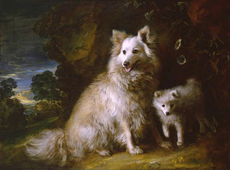 Pomeranian tik och valp - Thomas Gainsborough
