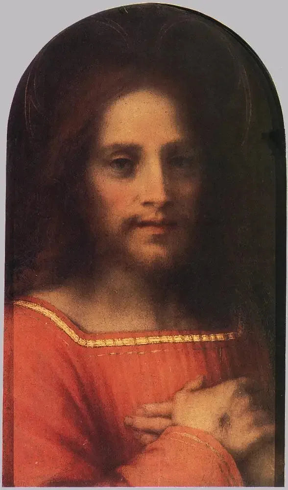 Kristus Frälsaren - Andrea del Sarto