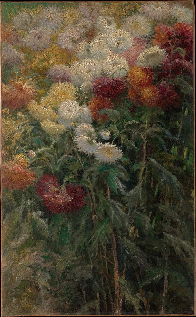 Krysantemum i trädgården i Petit Gennevilliers - Gustave Caillebotte