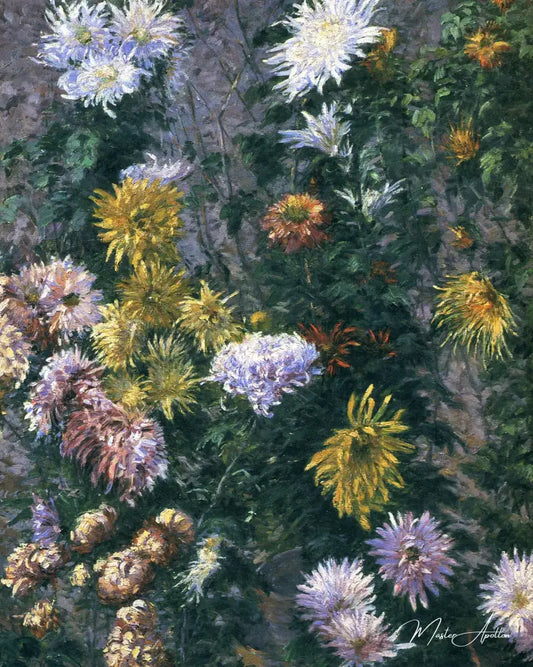 Chrysanthèmes blancs et jaunes - Caillebotte - Reproductions de tableaux et peintures haut de gamme