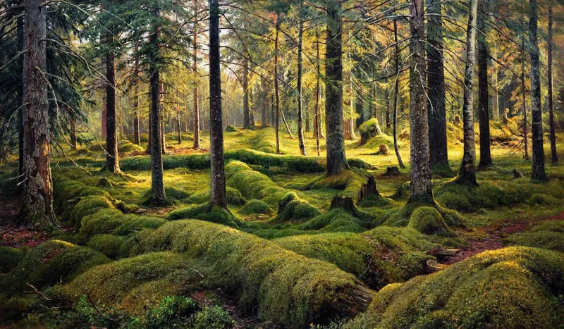 Skogskyrkogården - Ivan Chichkine