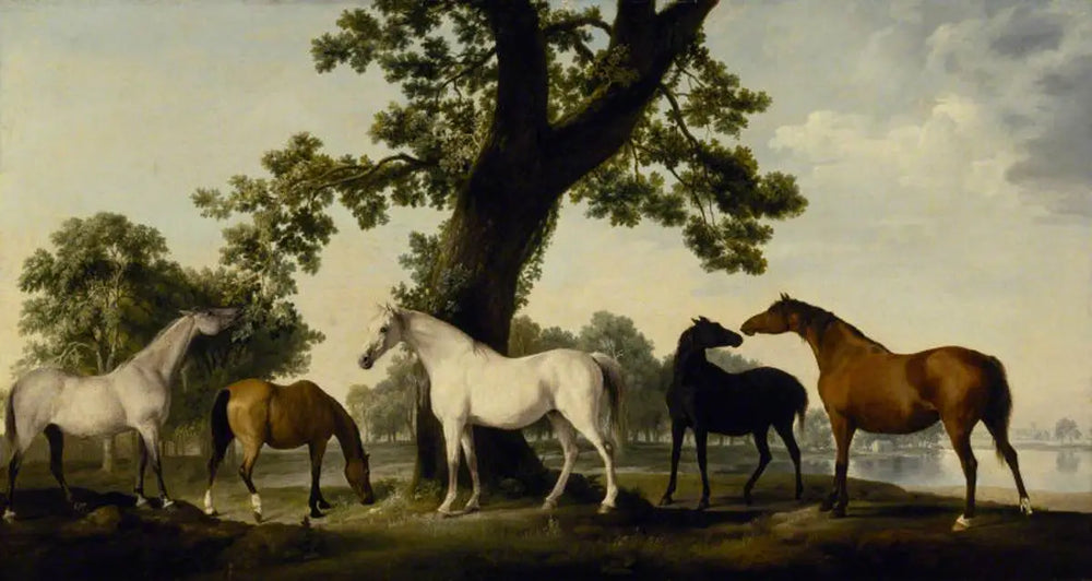 Cinq juments à l’élevage du duc de Cumberland dans le Grand Parc de Windsor - George Stubbs - Alpha Reproduction