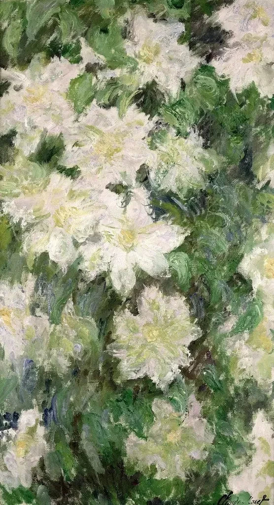 Vit klematis W1144 - Claude Monet