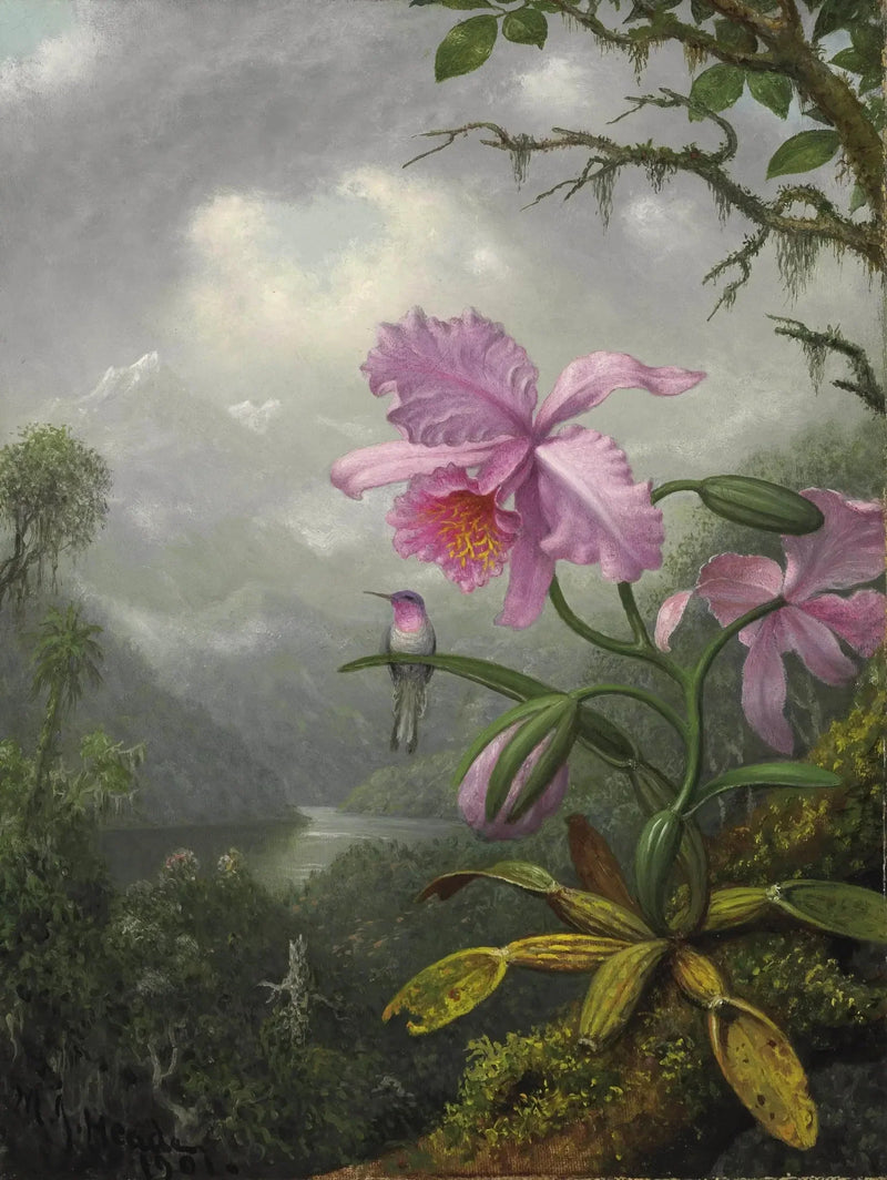 Kolibri som sitter på orkidéplantan - Martin Johnson Heade
