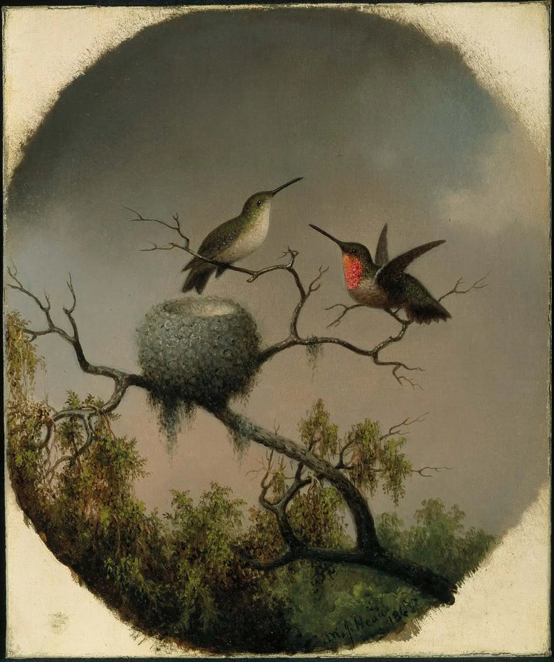 Kolibris med bo - Martin Johnson Heade