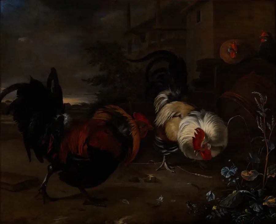 Kamp mellan tuppar - Melchior de Hondecoeter