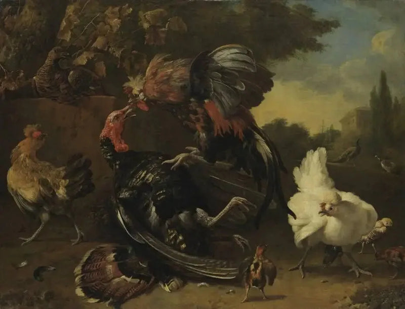 Kamp mellan en tupp och en kalkon - Melchior de Hondecoeter
