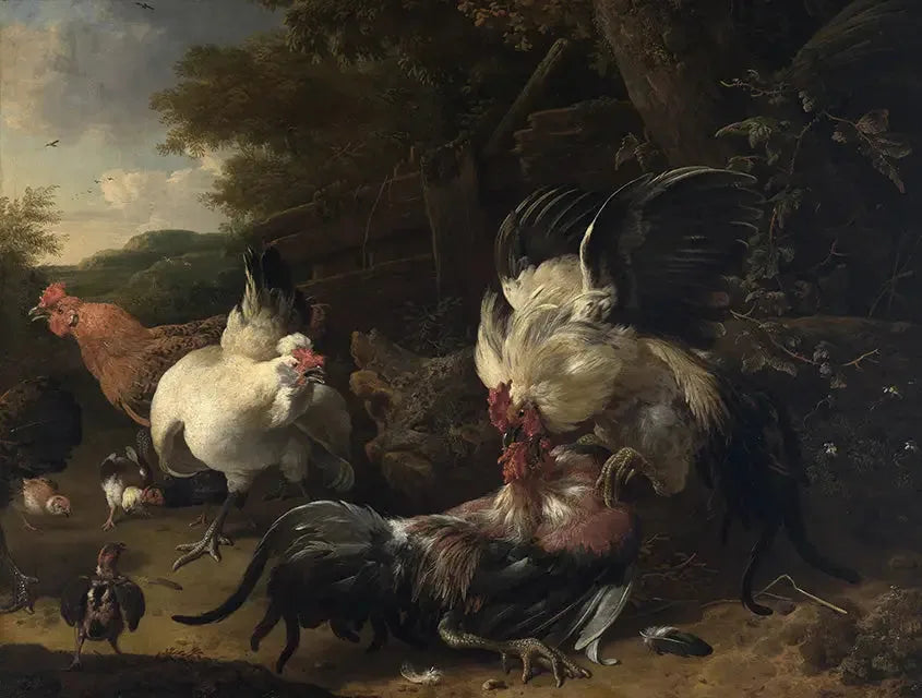 Hönskamper - Melchior de Hondecoeter