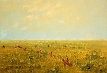 Köra i pampan för vilda boskap - Connibo - George Catlin