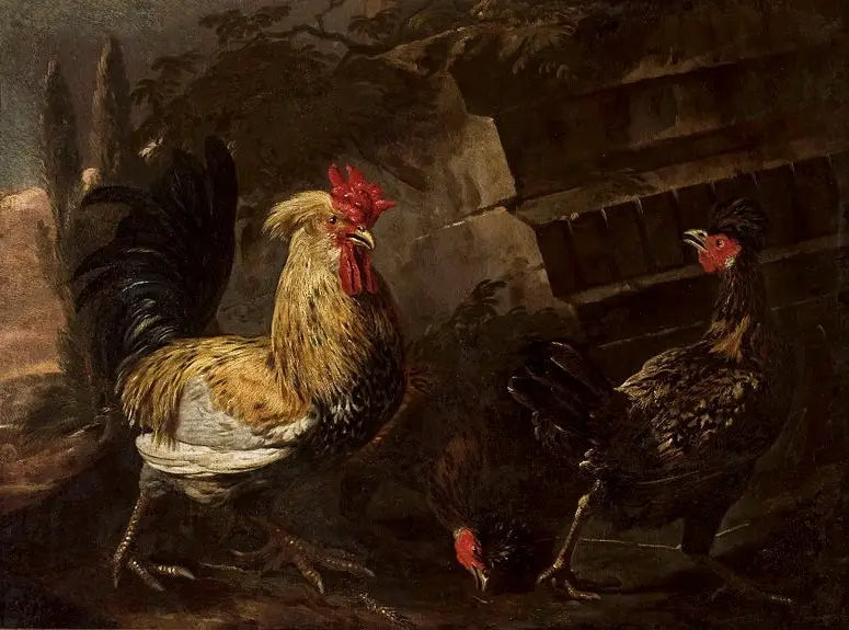 Höna och hönor. - Melchior de Hondecoeter