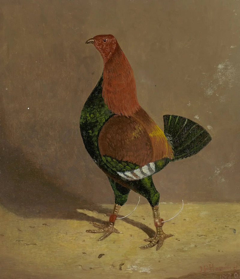 Kampfhanar: en kampfhanne med mörk bröstkorg, vänd mot vänster - John Frederick Herring, Sr.