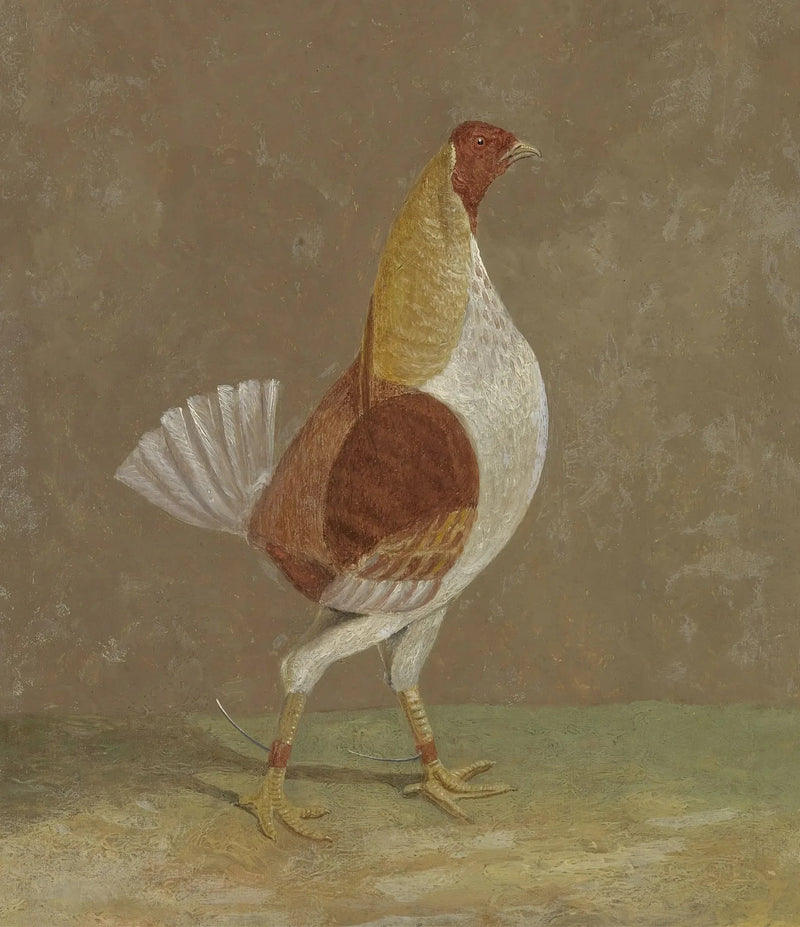 Kamphöns: en kampfågel med ljusbröst, vänd mot höger - John Frederick Herring, Sr.