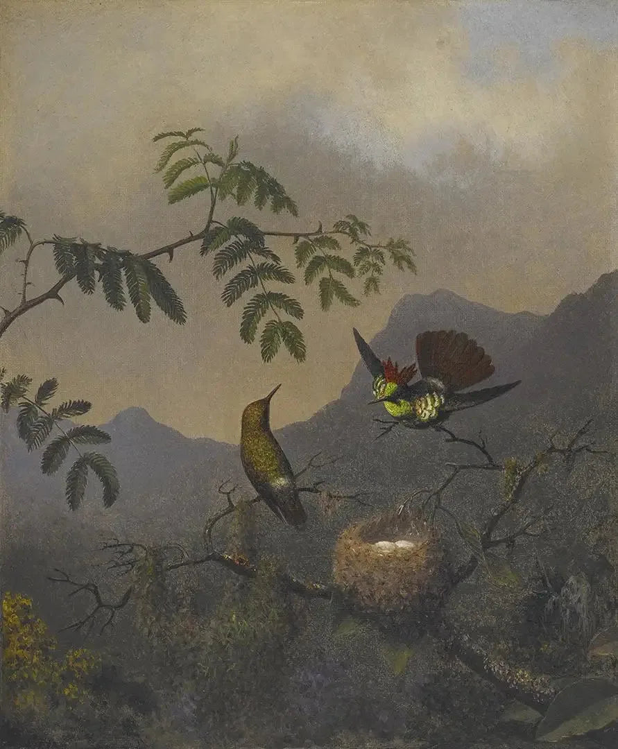 Rynkad med volanger - Martin Johnson Heade